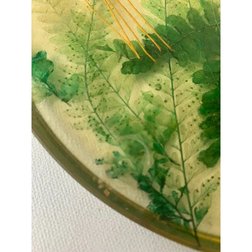Vintage 60s Acrylic Lucite Butterfly Moth  Dried Flowers Fern Trivet Hot Pad MCM
